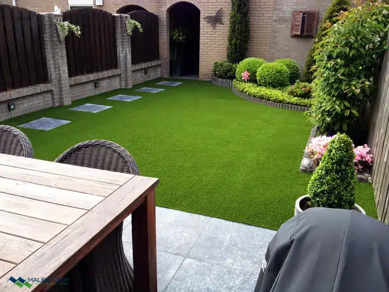 Best Plants for a Stepped Garden