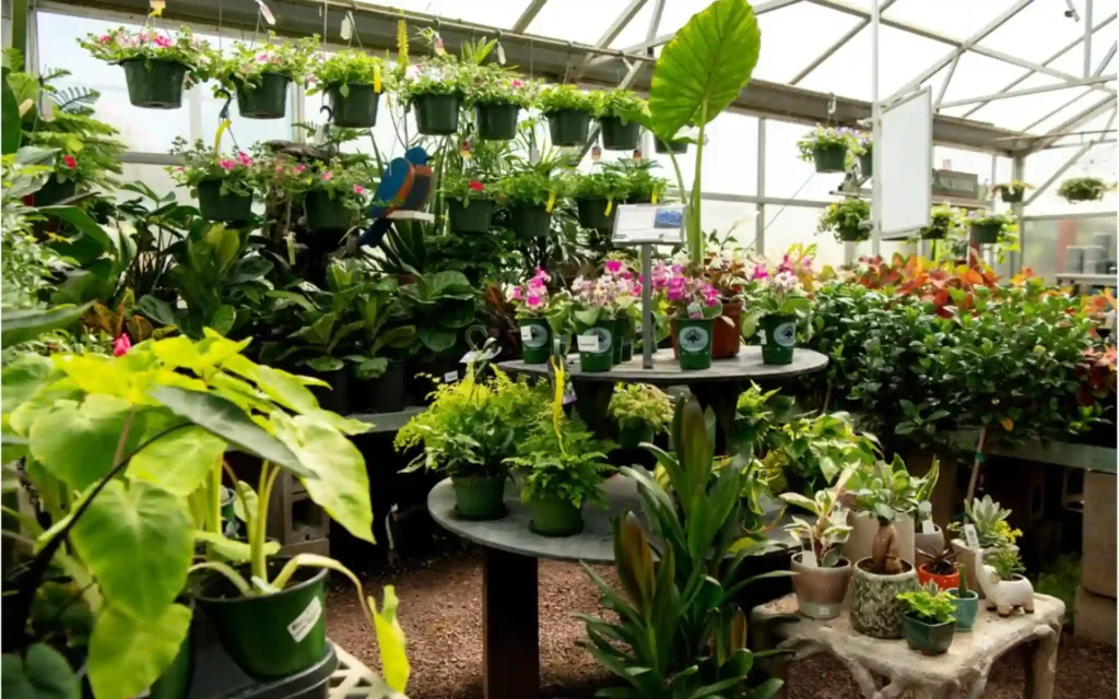 Are Plant Nurseries Essential Services?