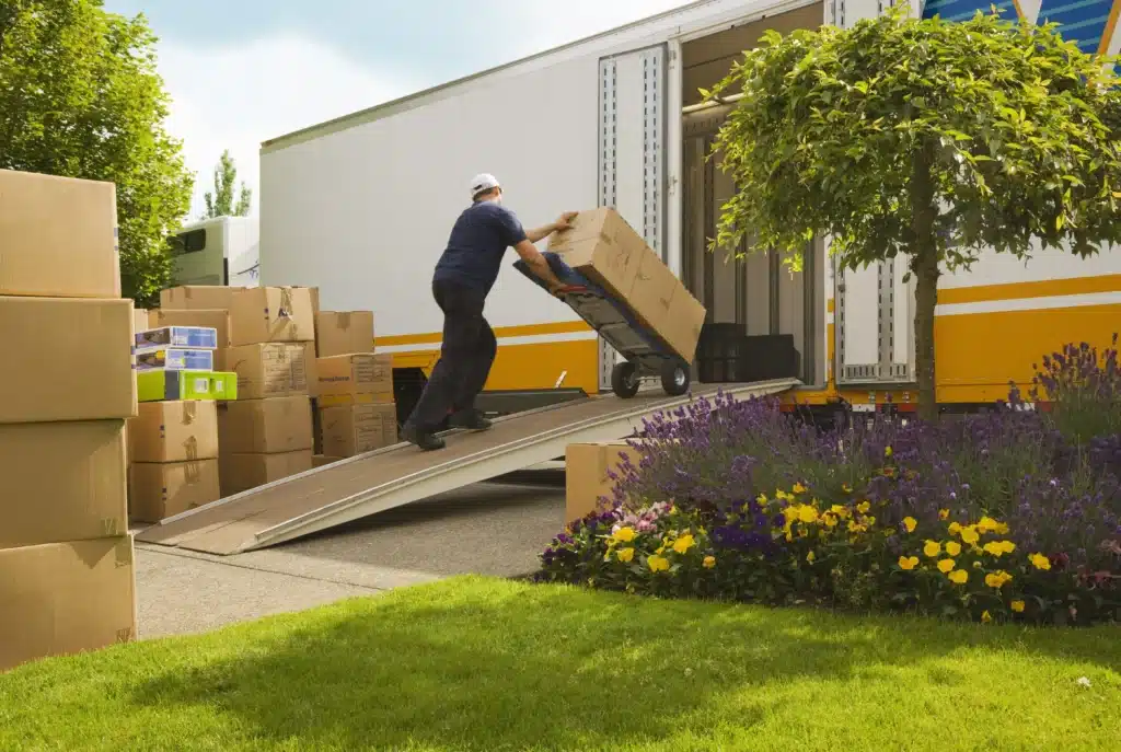 How to Choose Plant Relocation Services
