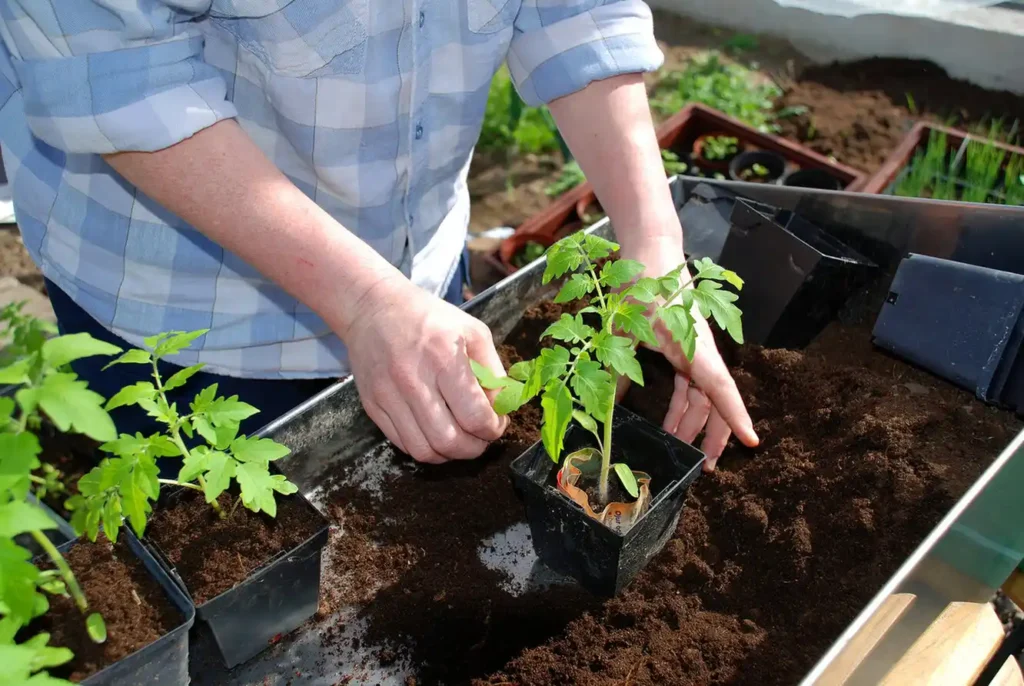 How to Start a Plant Supply & Service Business