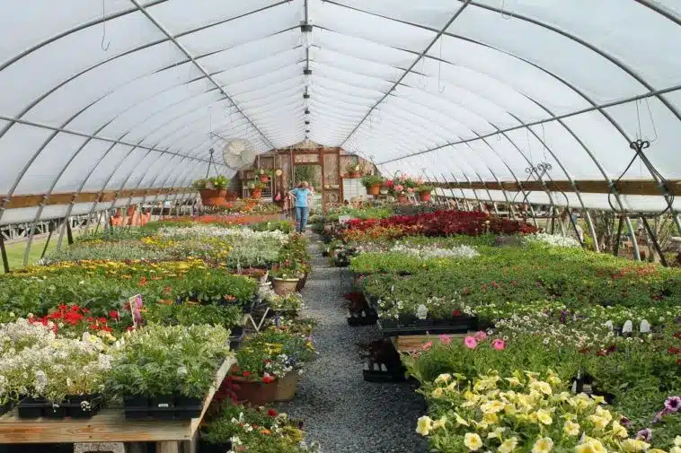 When Are Plant Nurseries Considered Essential?