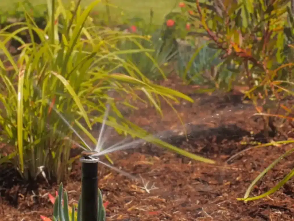 Automated Irrigation services essex