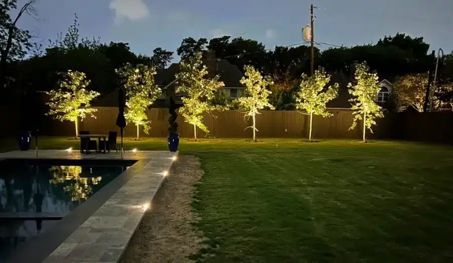 Tree & Planting Lighting essex