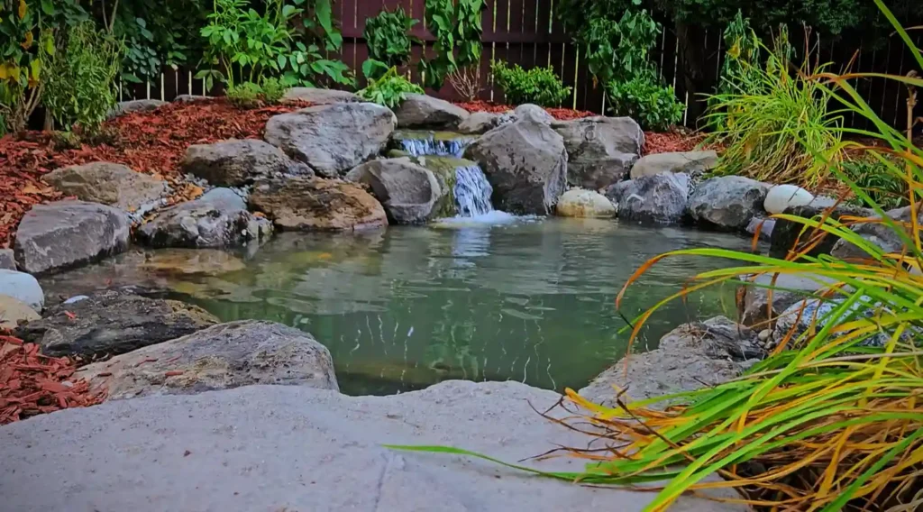 garden ponds and waterfalls services chelmsford essex